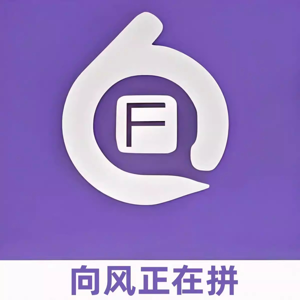 解析拼数据包软件配合上架使用